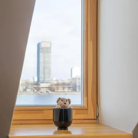 Riverside Flat With A Beautiful View Over リガ